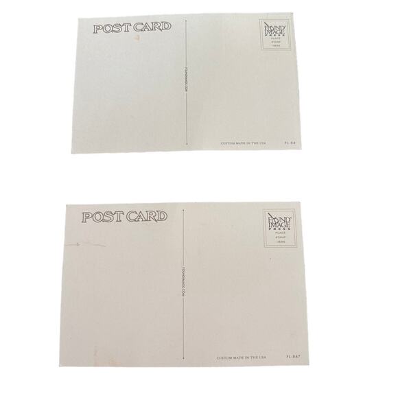 Set Of 2 Vintage Florida Postcards Bathing Beauties And Florida‎ Gator - Picture 2 of 2